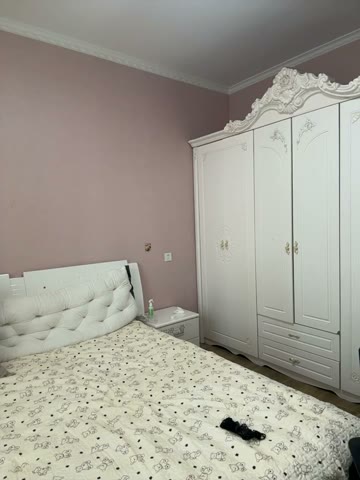 yanzi520